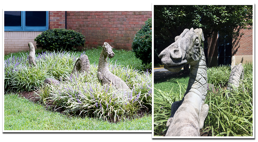 Two photographs of the dragon / sea serpent statute known as Sir Smartacus. The statue has been placed in a flower bed in front of the main entrance. The statue was crafted in such a way as to give the appearance of the creature being partially above ground and partially below ground, undulating its body as it swims. The statue is surrounded by purple flowers with long green leaves. The photograph on the left shows the full statue, and the photograph on the right is a close up picture of the head. 